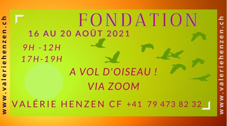fondation access consciousness nyon suisse